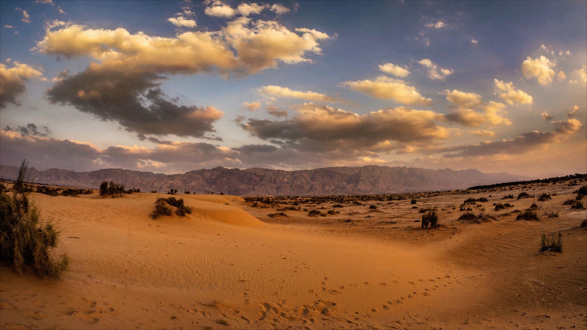 Film production in Israel